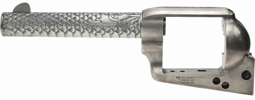 Right side of Birds head